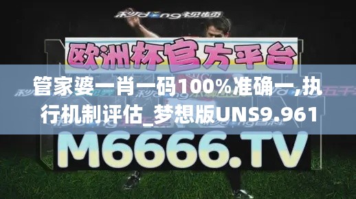 管家婆一肖一码100%准确一,执行机制评估_梦想版UNS9.961