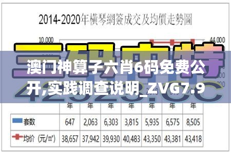 澳门神算子六肖6码免费公开,实践调查说明_ZVG7.962服务器版