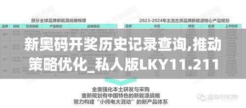 新奥码开奖历史记录查询,推动策略优化_私人版LKY11.211