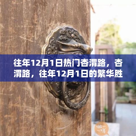 杏渭路繁华胜景深度评测，历年12月1日的热闹与魅力展现