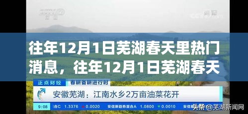 芜湖春天里热门消息回顾，小红书带你重温精彩瞬间（往年12月1日）