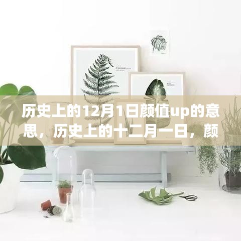 历史上的十二月一日，颜值UP背后的故事与影响揭秘