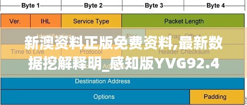 新澳资料正版免费资料,最新数据挖解释明_感知版YVG92.474