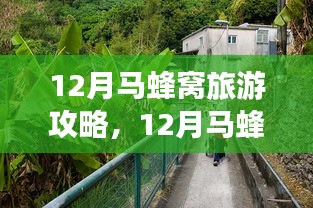 深度解析，12月马蜂窝旅游攻略与景点介绍