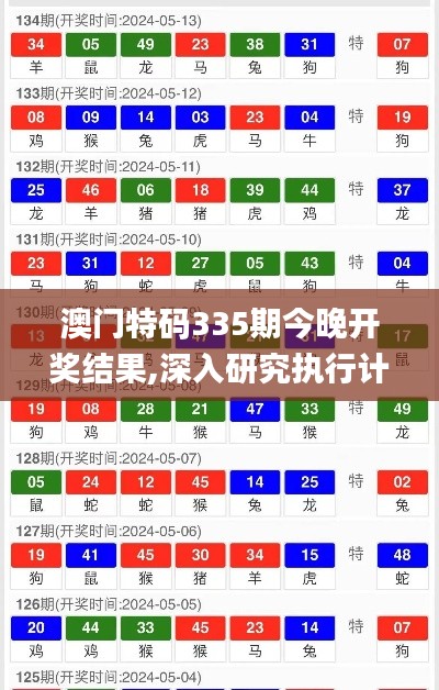 澳门特码335期今晚开奖结果,深入研究执行计划_GXK71.350拍照版