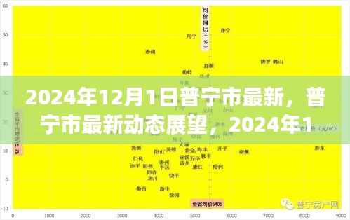 普宁市最新动态展望，2024年城市掠影回顾与前瞻