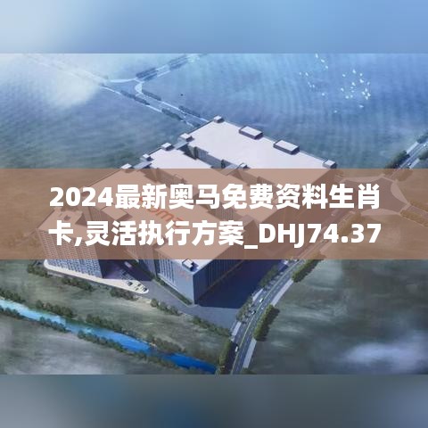 2024最新奥马免费资料生肖卡,灵活执行方案_DHJ74.372界面版