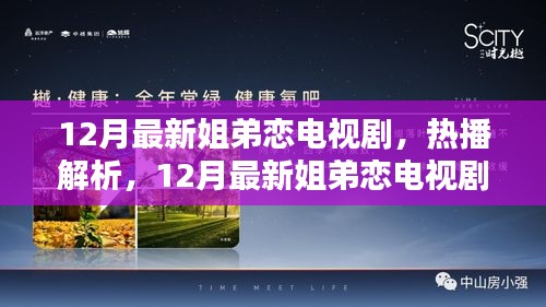 探秘热播姐弟恋电视剧，十二月最新剧集解析