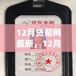 12月贷帮网最新动态，多维度观点下的深度探析