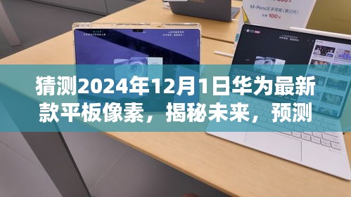 2024年12月1日 第19页