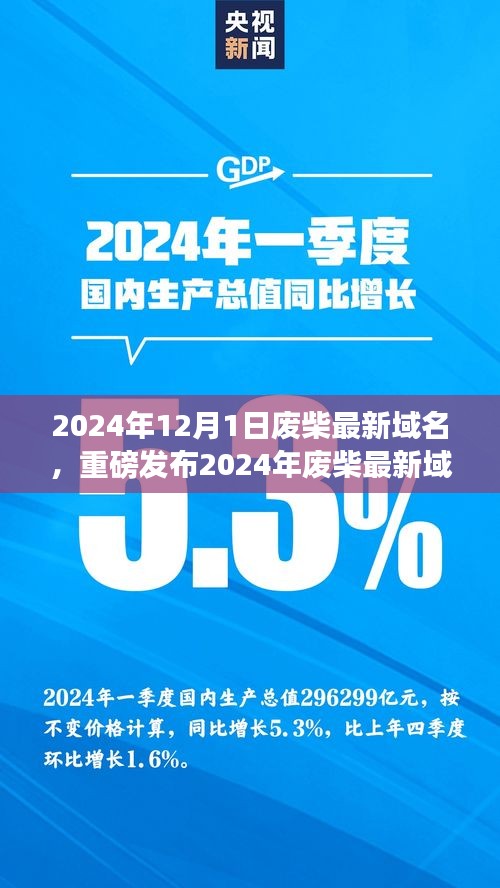 2024年废柴最新域名科技神器，开启智能生活新纪元