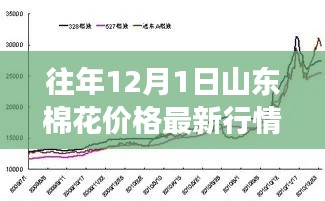 山东棉花价格回顾与展望，往年12月1日的行情走势与最新预测分析