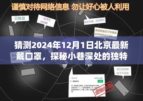 探秘北京小巷深处，口罩背后的美食与独特气息故事（2024年12月1日）