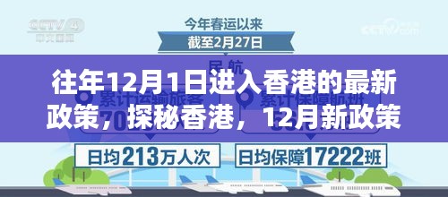 2024年12月1日 第7页