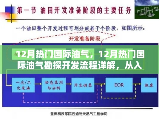 从入门到精通，揭秘国际油气勘探开发流程详解