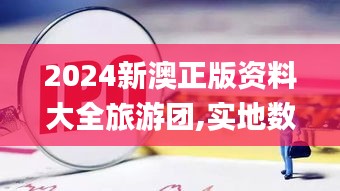 2024新澳正版资料大全旅游团,实地数据评估分析_VUA85.960私人版