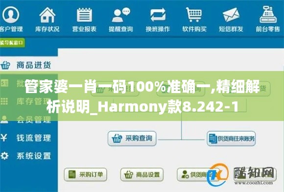 管家婆一肖一码100%准确一,精细解析说明_Harmony款8.242-1