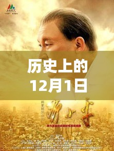 历史上的12月1日，最新平凡荣耀剧集观看指南