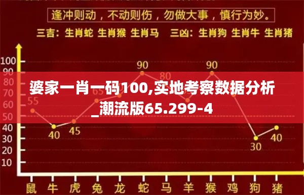 婆家一肖一码100,实地考察数据分析_潮流版65.299-4