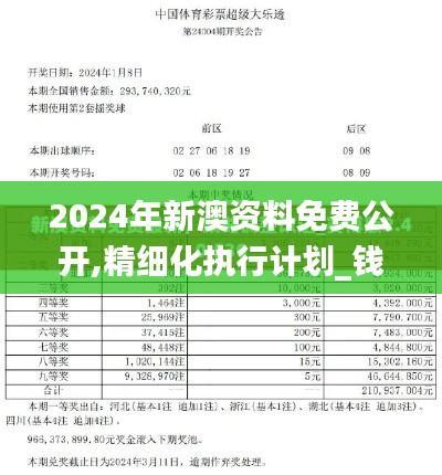 2024年新澳资料免费公开,精细化执行计划_钱包版22.250-9