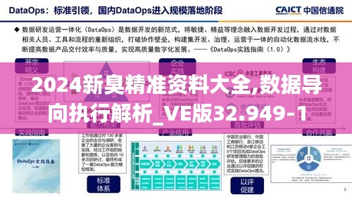 2024新臭精准资料大全,数据导向执行解析_VE版32.949-1