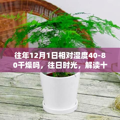 解读十二月一日湿度变迁与往日时光的气候纽带，往年湿度在40-80%之间是否干燥？