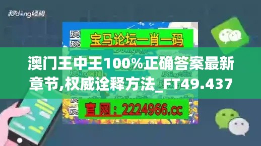 澳门王中王100%正确答案最新章节,权威诠释方法_FT49.437-8