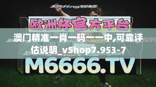 澳门精准一肖一码一一中,可靠评估说明_vShop7.953-7