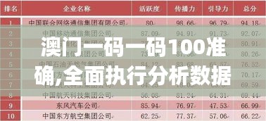 澳门一码一码100准确,全面执行分析数据_微型版88.179-5