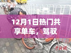 共享单车风潮，飞轮驾驭生活与自信之旅的蜕变