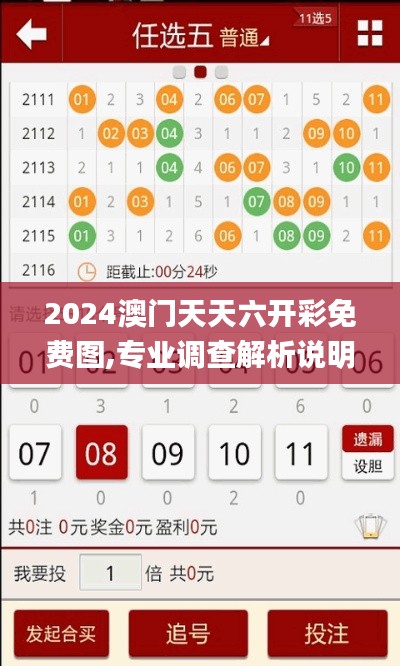 2024澳门天天六开彩免费图,专业调查解析说明_Pixel91.260-6