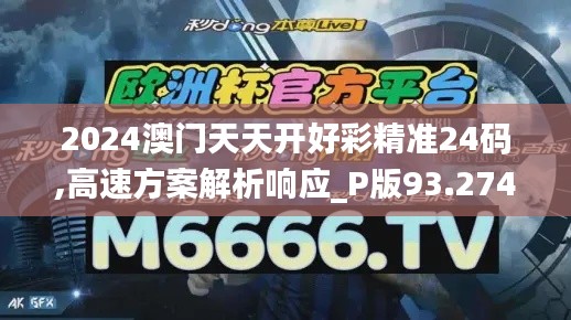 2024澳门天天开好彩精准24码,高速方案解析响应_P版93.274-5