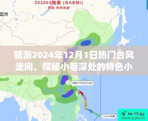 探秘小巷特色小店与预测台风走向，揭秘2024年年末的奇妙之旅