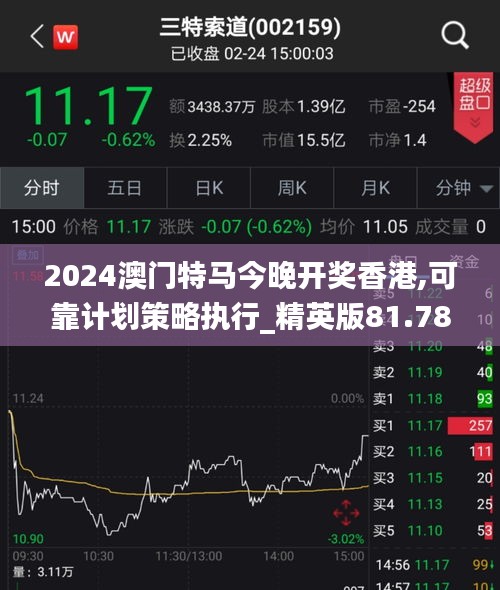 2024澳门特马今晚开奖香港,可靠计划策略执行_精英版81.788-7