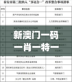 新澳门一码一肖一特一中2024高考,持久性执行策略_标配版66.731-1