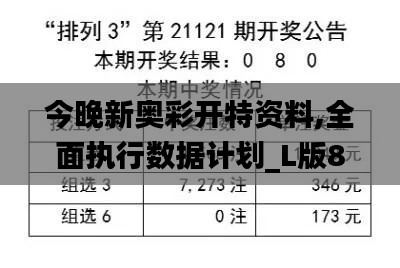 今晚新奥彩开特资料,全面执行数据计划_L版89.539-7