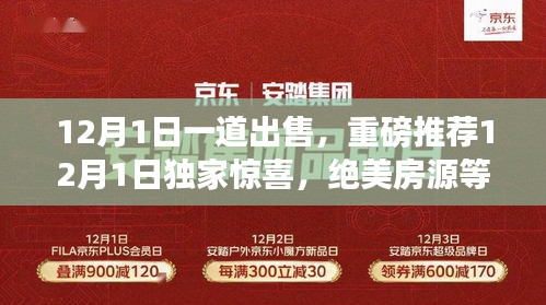 独家惊喜！绝美房源12月1日重磅出售，抢房大战即将打响！