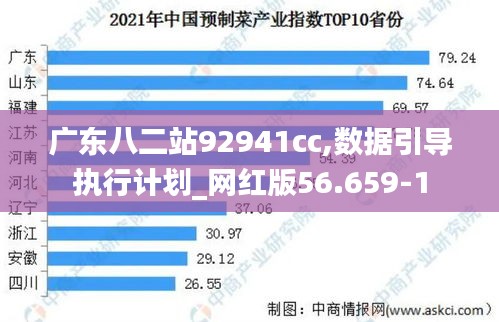 广东八二站92941cc,数据引导执行计划_网红版56.659-1