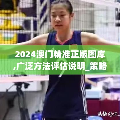 2024澳门精准正版图库,广泛方法评估说明_策略版18.334-5