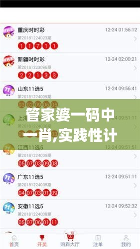 管家婆一码中一肖,实践性计划实施_豪华版26.372-6