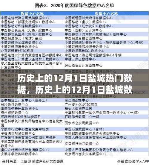 揭秘盐城历史数据背后的影响力与变迁，聚焦十二月一日深度解析