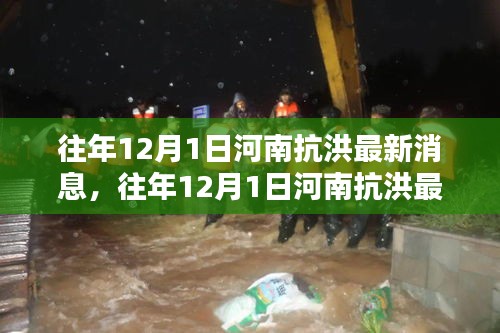 往年12月抗洪河南最新消息全解析，获取指南与进阶教程