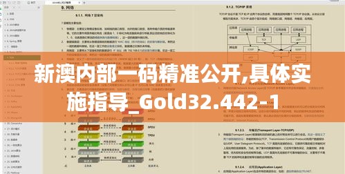 新澳内部一码精准公开,具体实施指导_Gold32.442-1