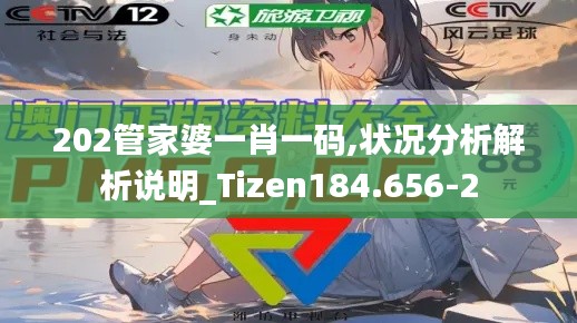 202管家婆一肖一码,状况分析解析说明_Tizen184.656-2