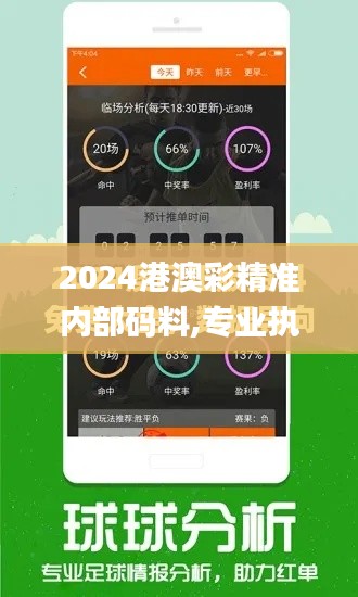 2024港澳彩精准内部码料,专业执行解答_创意版120.561-5