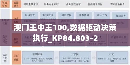 澳门王中王100,数据驱动决策执行_KP84.803-2