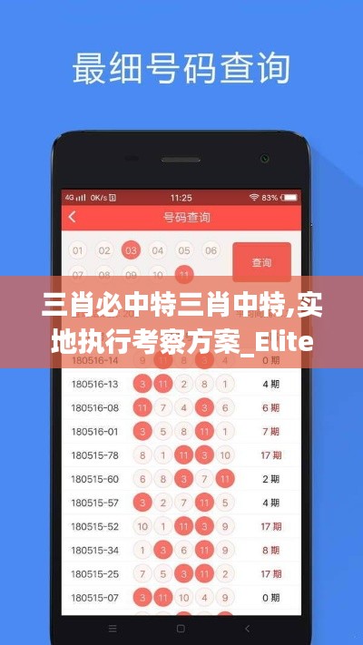 三肖必中特三肖中特,实地执行考察方案_Elite5.634-9