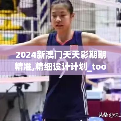 2024新澳门天天彩期期精准,精细设计计划_tool99.366-8