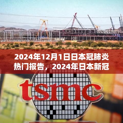 2024年日本新冠肺炎热门报告详解，任务完成与技能学习指南