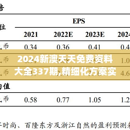 2024新澳天天免费资料大全337期,精细化方案实施_V6.252-4